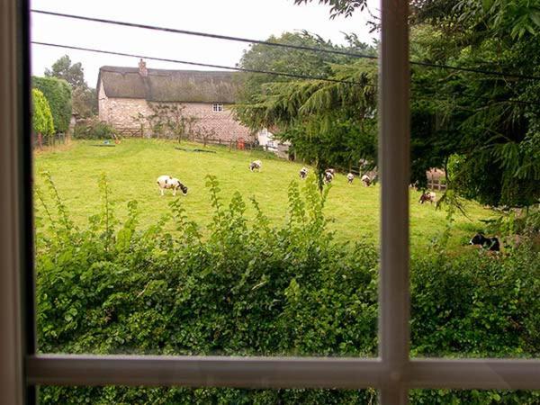 The Old Smithy Villa Bridport Buitenkant foto
